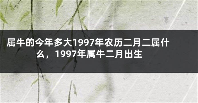 属牛的今年多大1997年农历二月二属什么，1997年属牛二月出生