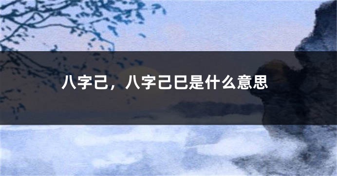 八字己，八字己巳是什么意思