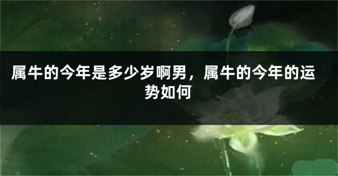 属牛的今年是多少岁啊男，属牛的今年的运势如何
