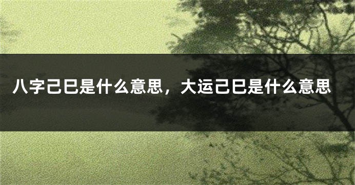 八字己巳是什么意思，大运己巳是什么意思