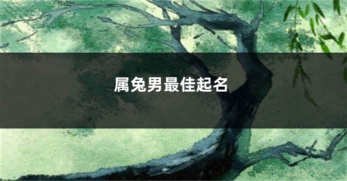 属兔男最佳起名