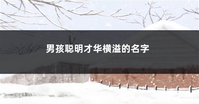 男孩聪明才华横溢的名字