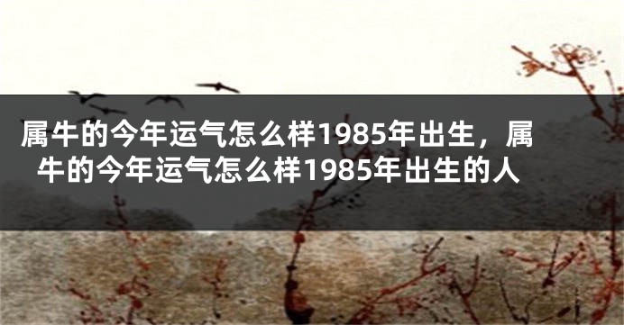 属牛的今年运气怎么样1985年出生，属牛的今年运气怎么样1985年出生的人