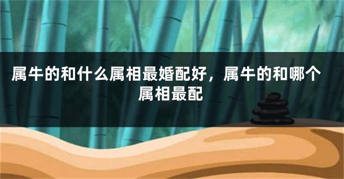 属牛的和什么属相最婚配好，属牛的和哪个属相最配