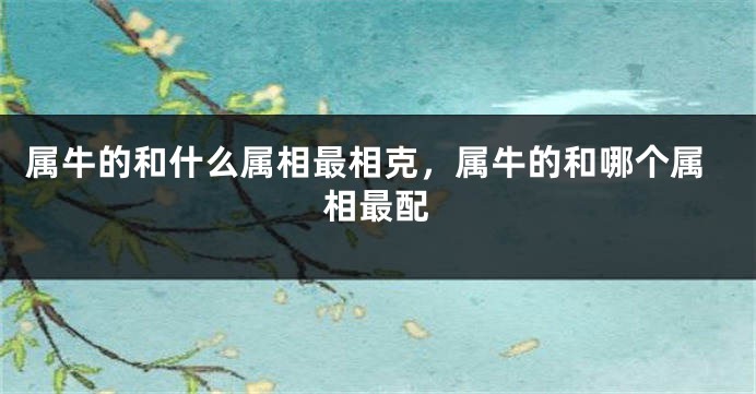 属牛的和什么属相最相克,属牛的和哪个属相最配