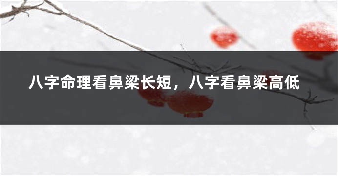 八字命理看鼻梁长短，八字看鼻梁高低