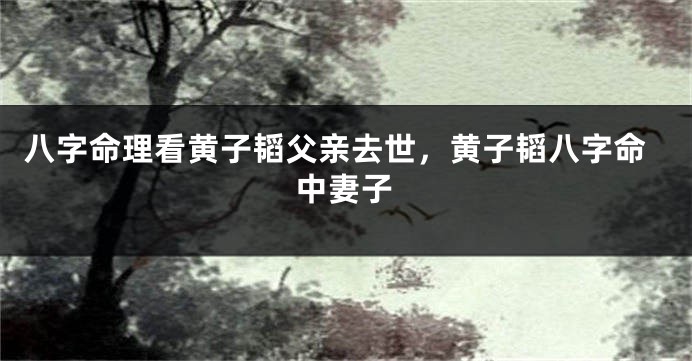 八字命理看黄子韬父亲去世，黄子韬八字命中妻子