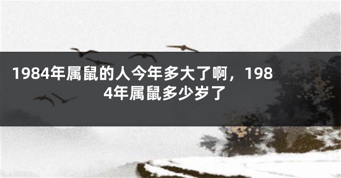 1984年属鼠的人今年多大了啊，1984年属鼠多少岁了