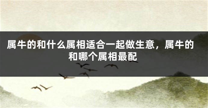 属牛的和什么属相适合一起做生意，属牛的和哪个属相最配