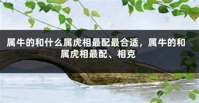 属牛的和什么属虎相最配最合适，属牛的和属虎相最配、相克