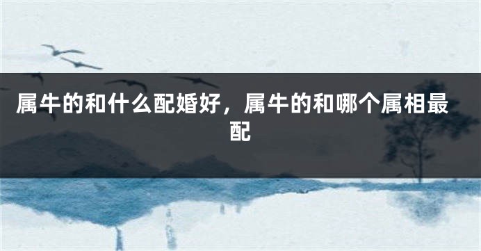 属牛的和什么配婚好，属牛的和哪个属相最配