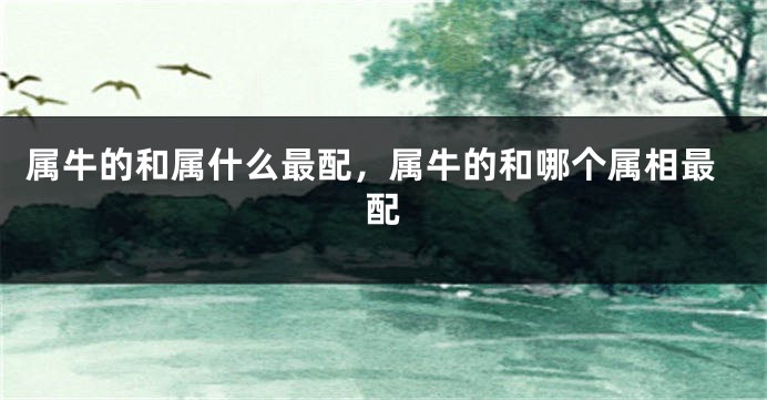属牛的和属什么最配，属牛的和哪个属相最配