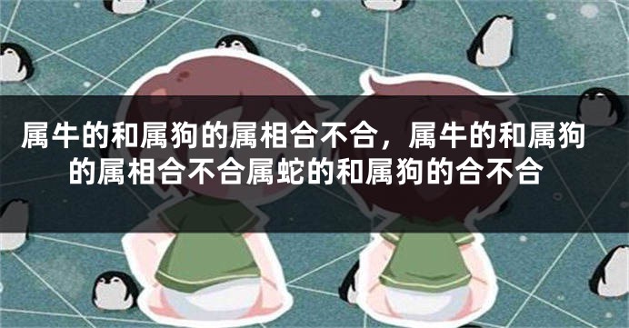 属牛的和属狗的属相合不合，属牛的和属狗的属相合不合属蛇的和属狗的合不合