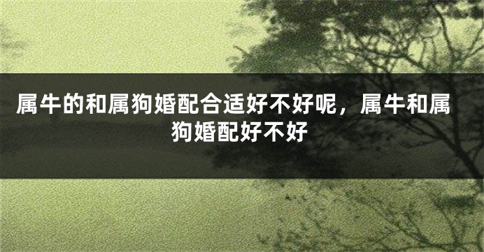 属牛的和属狗婚配合适好不好呢，属牛和属狗婚配好不好