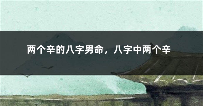 两个辛的八字男命，八字中两个辛