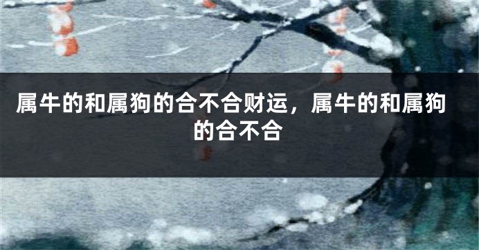 属牛的和属狗的合不合财运，属牛的和属狗的合不合
