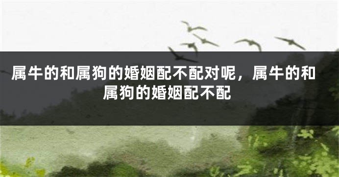 属牛的和属狗的婚姻配不配对呢，属牛的和属狗的婚姻配不配
