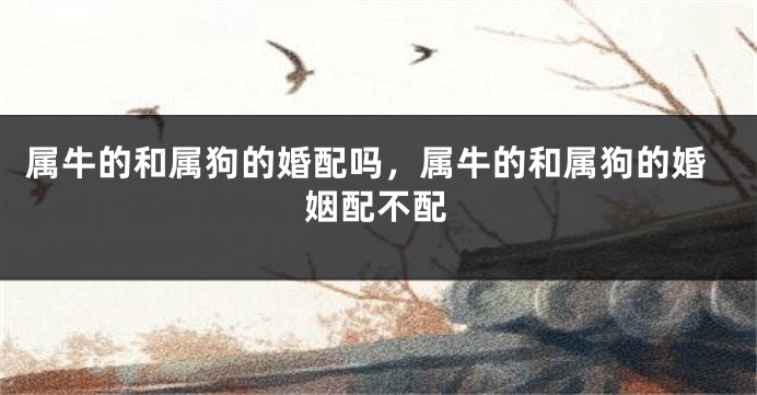 属牛的和属狗的婚配吗，属牛的和属狗的婚姻配不配