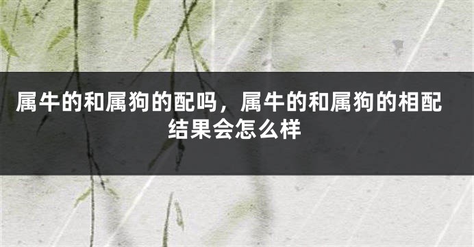 属牛的和属狗的配吗，属牛的和属狗的相配结果会怎么样