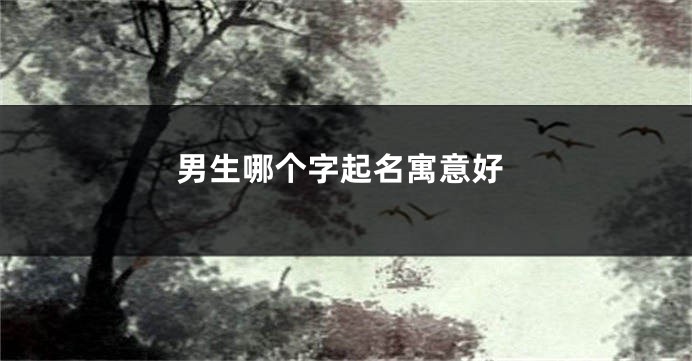 男生哪个字起名寓意好