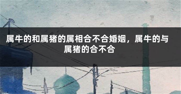 属牛的和属猪的属相合不合婚姻，属牛的与属猪的合不合