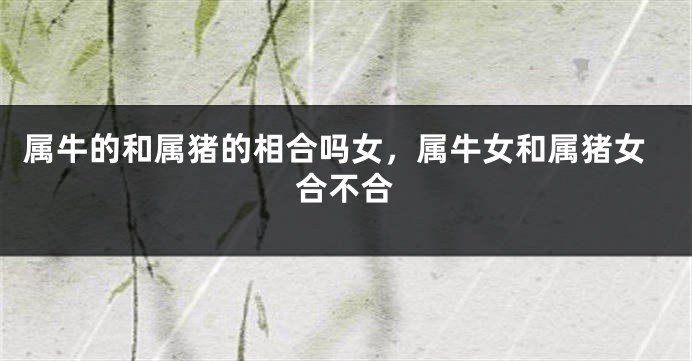 属牛的和属猪的相合吗女，属牛女和属猪女合不合