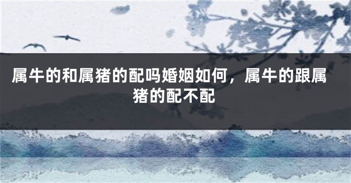属牛的和属猪的配吗婚姻如何，属牛的跟属猪的配不配