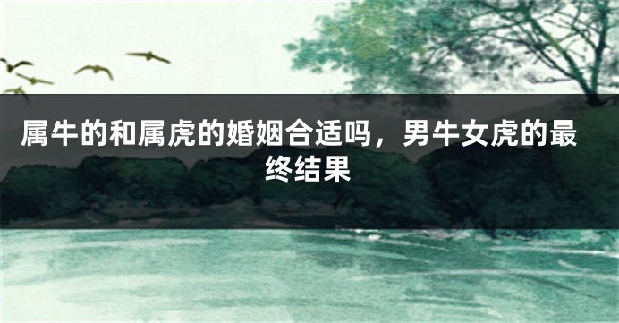属牛的和属虎的婚姻合适吗，男牛女虎的最终结果