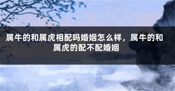 属牛的和属虎相配吗婚姻怎么样，属牛的和属虎的配不配婚姻