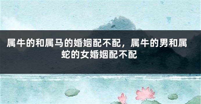 属牛的和属马的婚姻配不配，属牛的男和属蛇的女婚姻配不配
