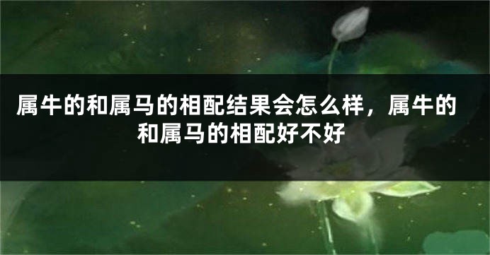 属牛的和属马的相配结果会怎么样，属牛的和属马的相配好不好
