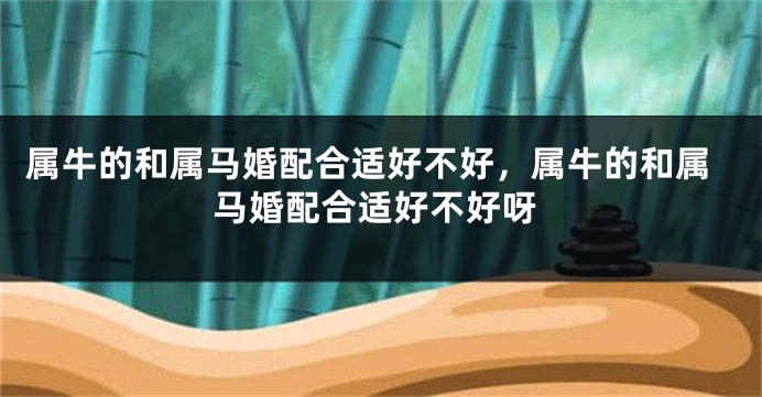属牛的和属马婚配合适好不好，属牛的和属马婚配合适好不好呀