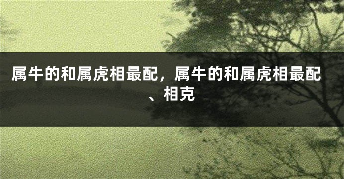 属牛的和属虎相最配，属牛的和属虎相最配、相克