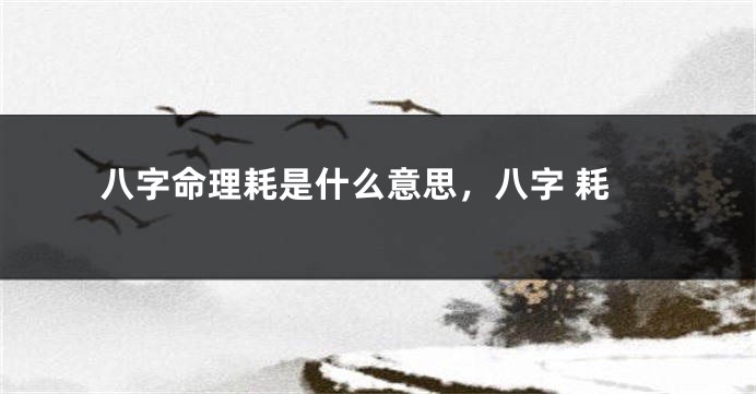 八字命理耗是什么意思，八字 耗