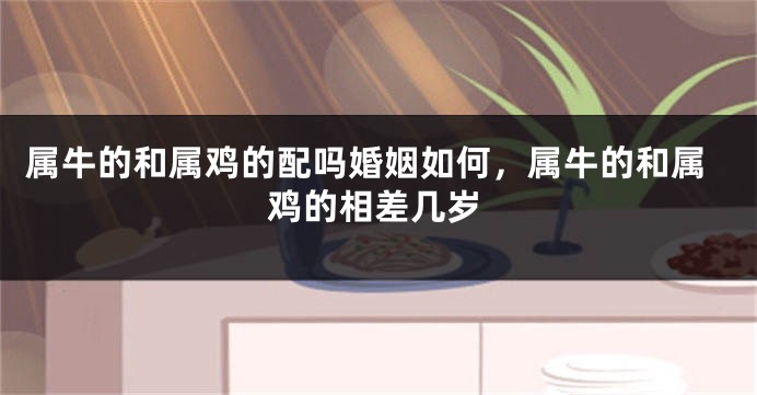 属牛的和属鸡的配吗婚姻如何，属牛的和属鸡的相差几岁