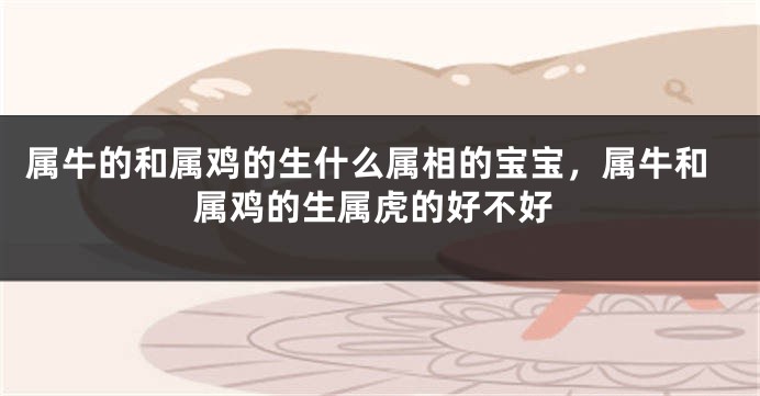 属牛的和属鸡的生什么属相的宝宝，属牛和属鸡的生属虎的好不好