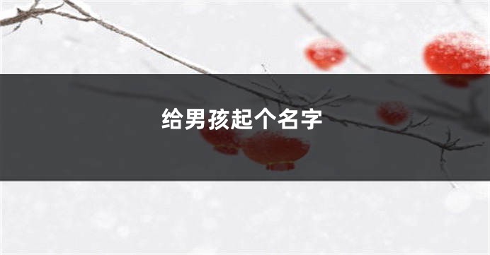 给男孩起个名字