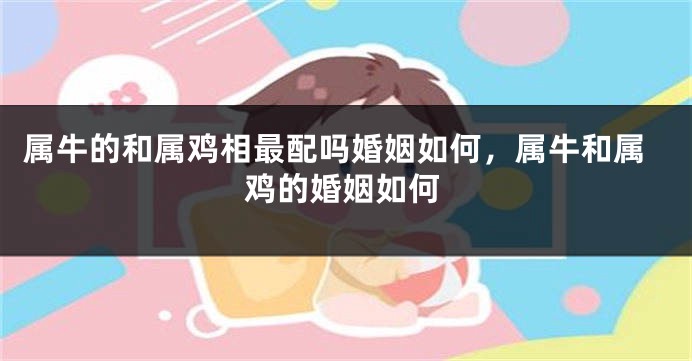 属牛的和属鸡相最配吗婚姻如何，属牛和属鸡的婚姻如何