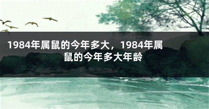 1984年属鼠的今年多大，1984年属鼠的今年多大年龄