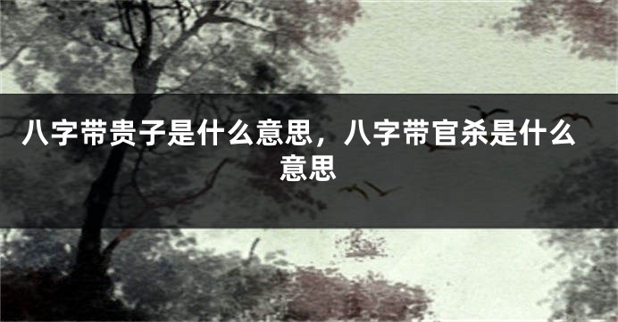 八字带贵子是什么意思，八字带官杀是什么意思