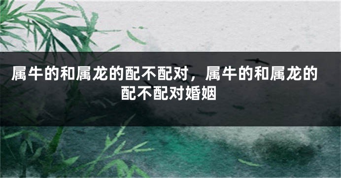 属牛的和属龙的配不配对，属牛的和属龙的配不配对婚姻