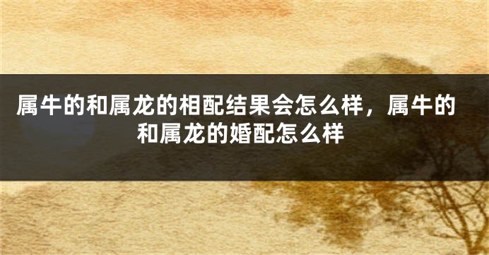 属牛的和属龙的相配结果会怎么样，属牛的和属龙的婚配怎么样