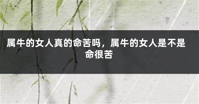 属牛的女人真的命苦吗，属牛的女人是不是命很苦