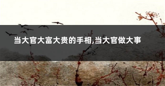 当大官大富大贵的手相,当大官做大事
