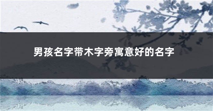 男孩名字带木字旁寓意好的名字