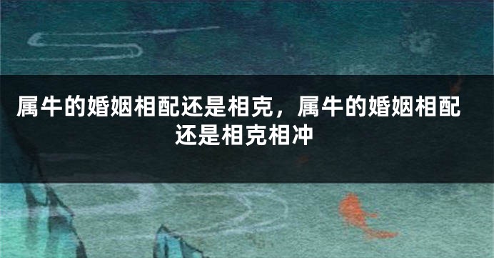 属牛的婚姻相配还是相克，属牛的婚姻相配还是相克相冲