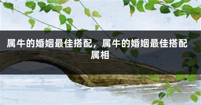 属牛的婚姻最佳搭配，属牛的婚姻最佳搭配属相