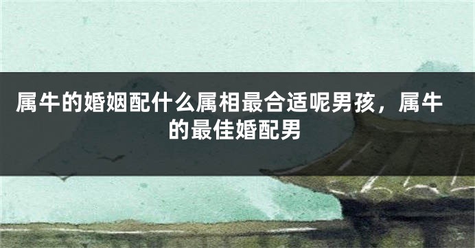 属牛的婚姻配什么属相最合适呢男孩，属牛的最佳婚配男