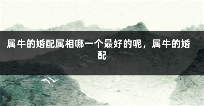 属牛的婚配属相哪一个最好的呢，属牛的婚配