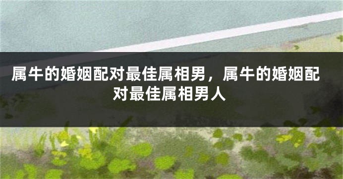 属牛的婚姻配对最佳属相男，属牛的婚姻配对最佳属相男人